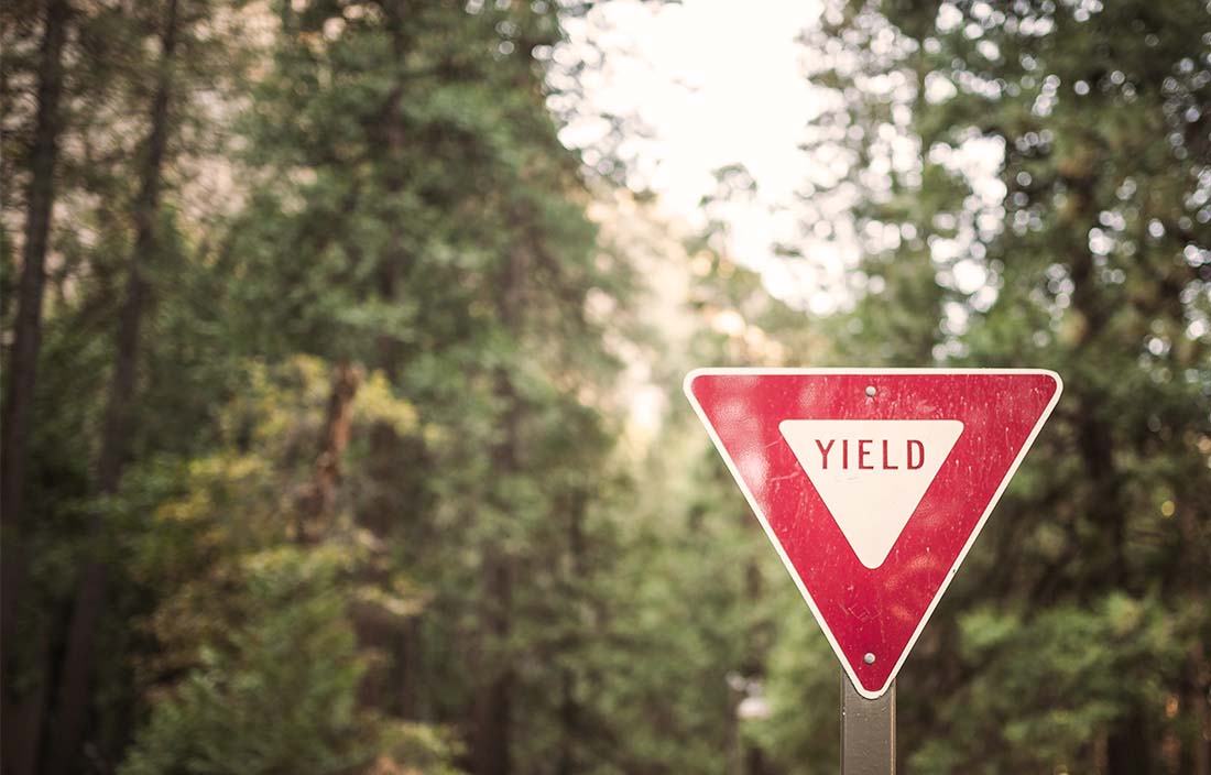 Image of yield sign in forest