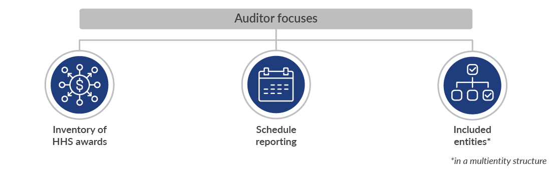 Graphic showcasing auditor focuses.