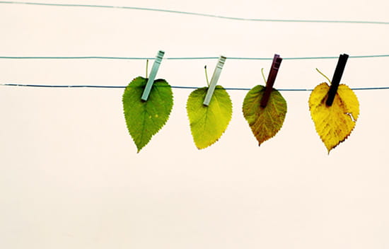 How changing regulations affect your business image