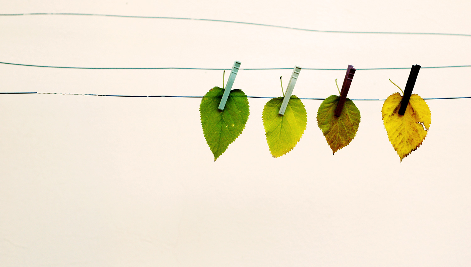 How changing regulations affect your business image
