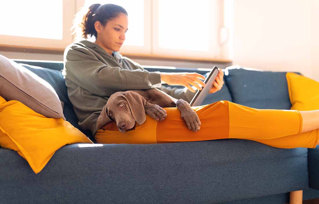 Woman sitting on couch with a tablet and dog