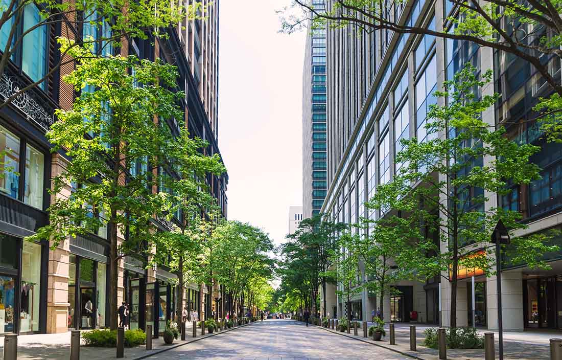 View of a street with rows of trees on each side.