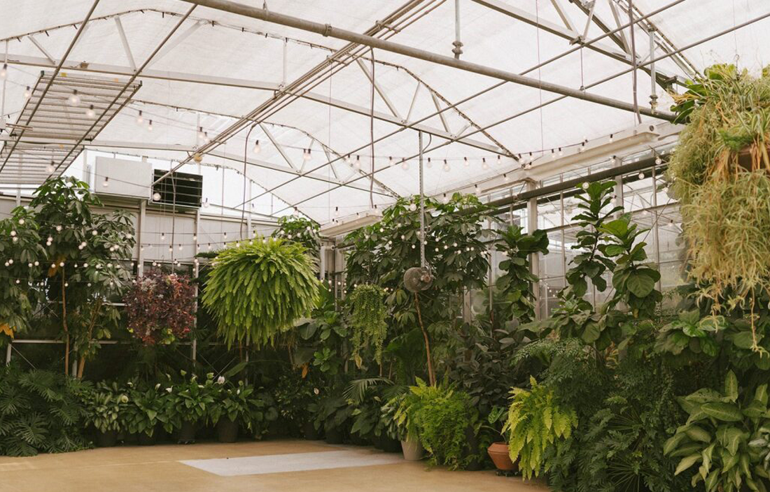 Interior of greenhouse.