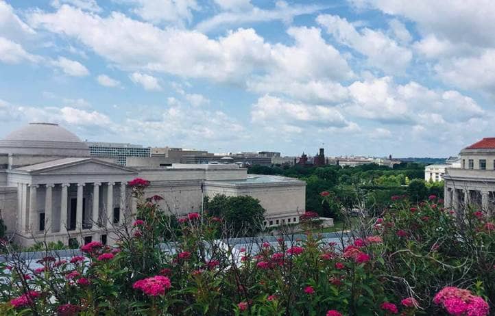 Building in Washington D.C. during the spring.