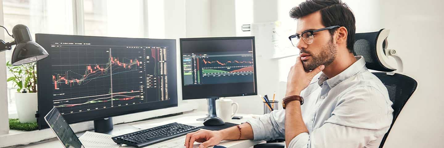 Economist looking at graphs and charts on their computer.