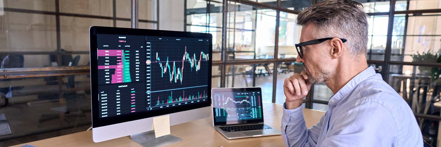 Financial advisor looking at graphs on their computer.