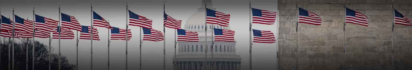 View of multiple American flags flying in the wind.