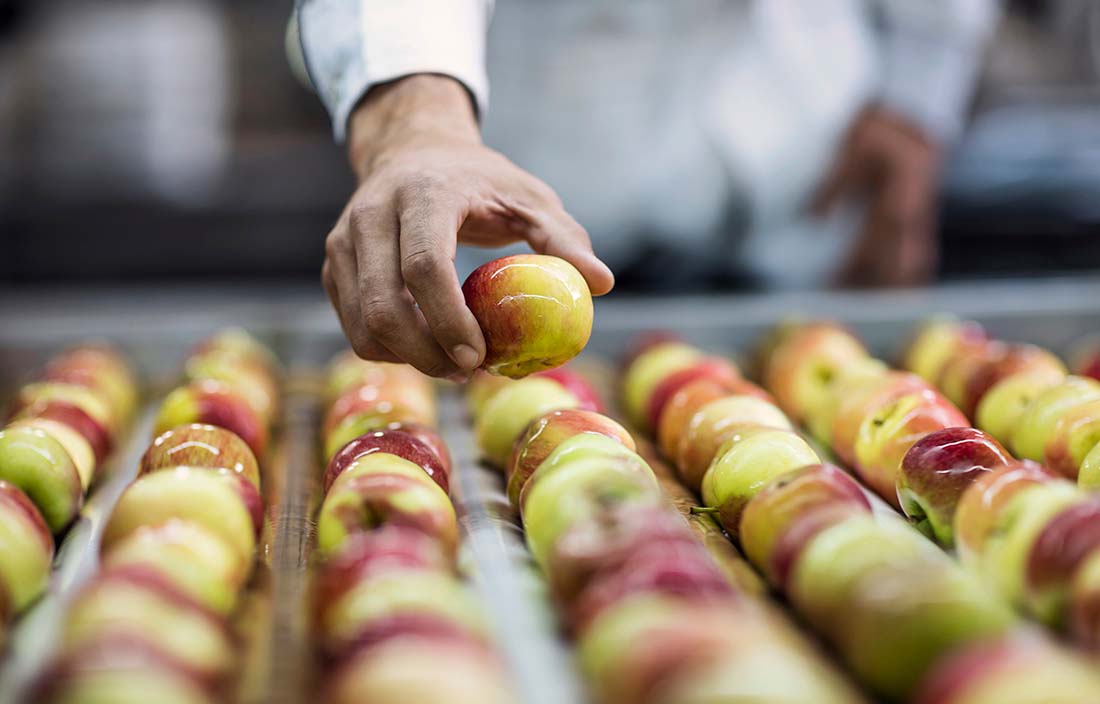 Chef preparing to cook apples