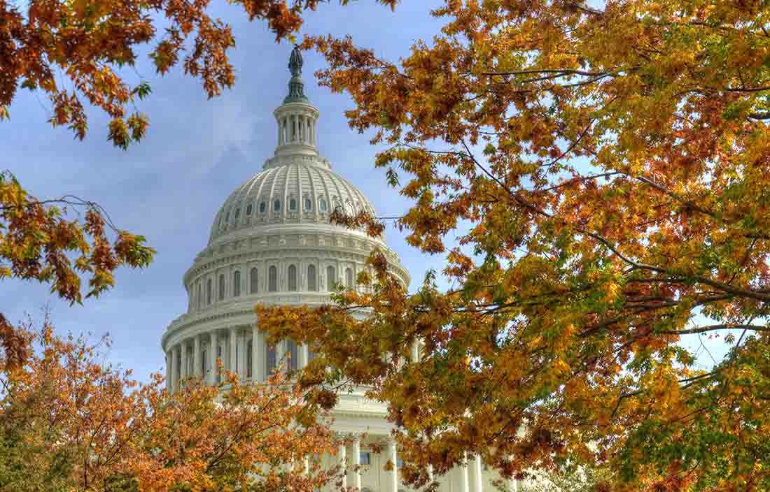 View of the United States Capitol building where section 1202 stock specialists discuss how to qualify for the qualified small business stock exemption