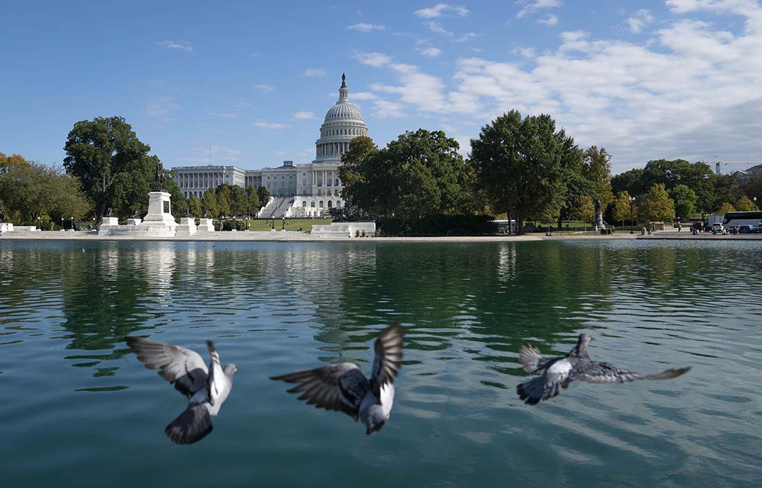 Birds flying above water in front of a U.S. government building.