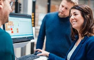 ERP professionals on their computer.