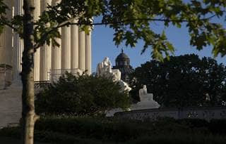 Government building and a nearby tree.