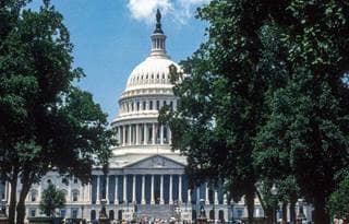 U.S. Capitol building through trees.