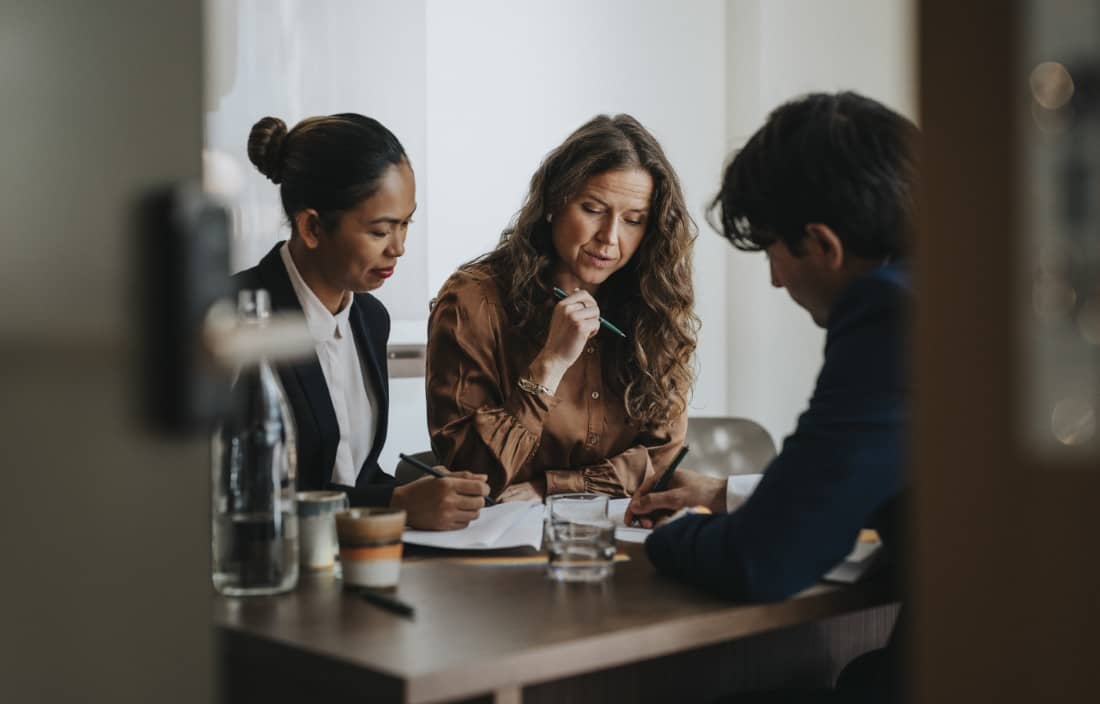 Business and healthcare professionals in a meeting.