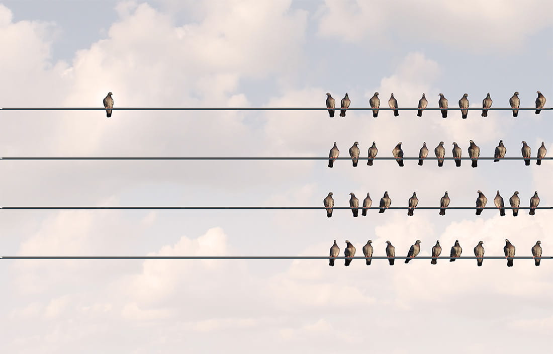 Image of birds on a wire for the 2017 Revolutionizing Healthcare Whitepaper