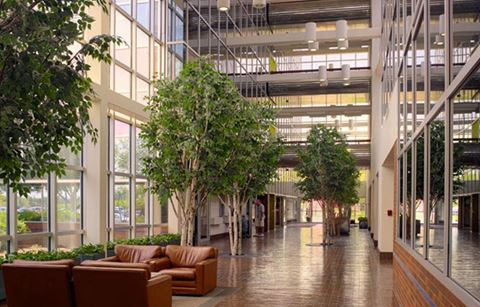 Data Center Image