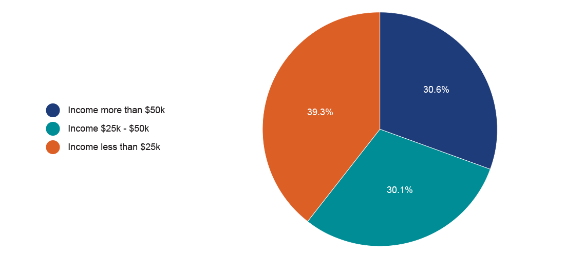 Pie chart showing senior households age 75 and older by income