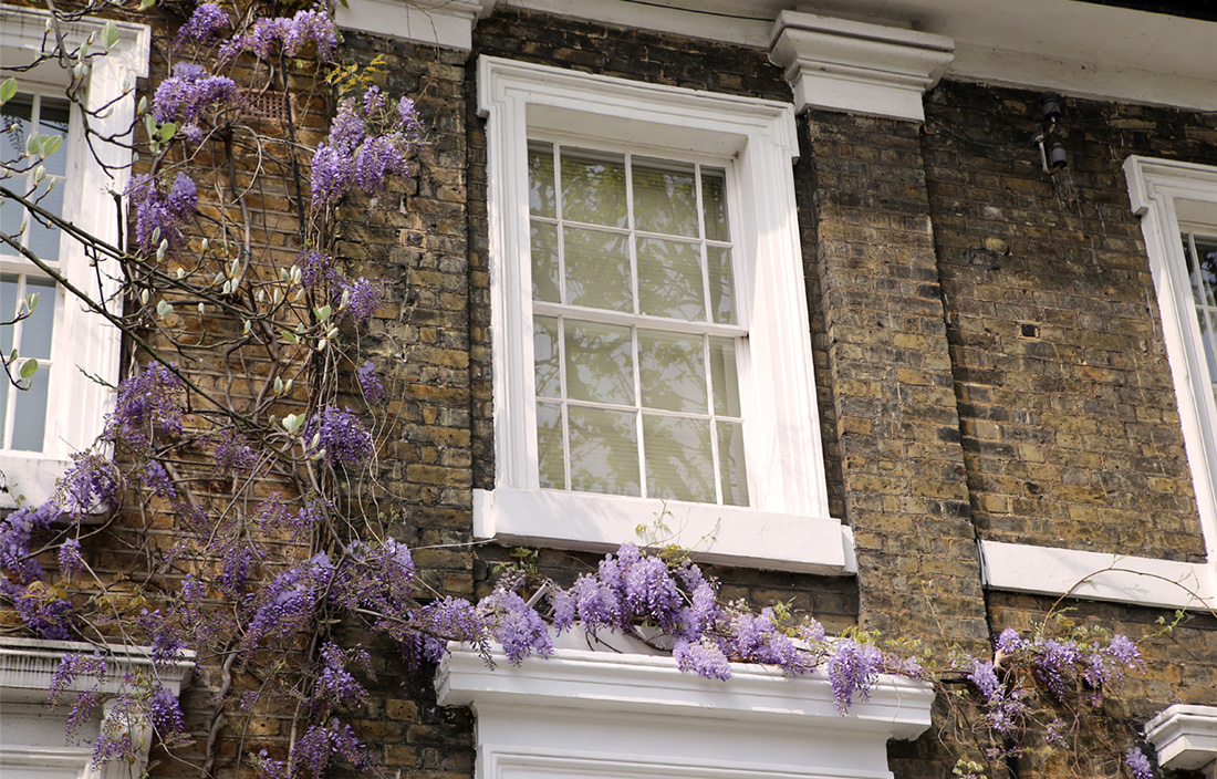 Image of a window on a house