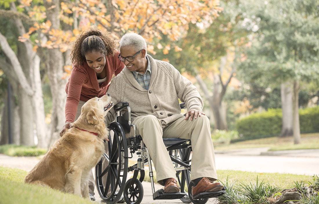 Senior man in a wheelchair with his relative petting a dog outside