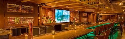 HUNA Tiki Bar, Ann Arbor, Michigan