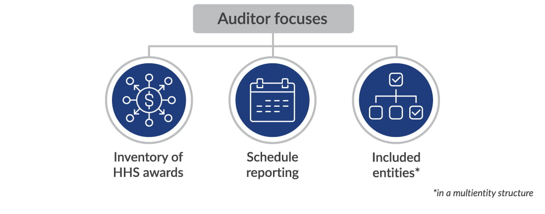 Auditor focuses test graphic.