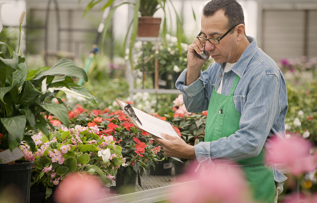 Man in flower shop