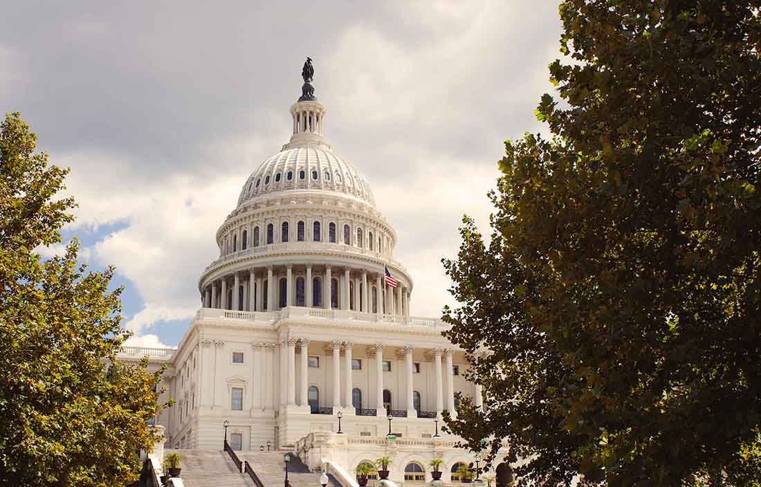 Capitol building with trees